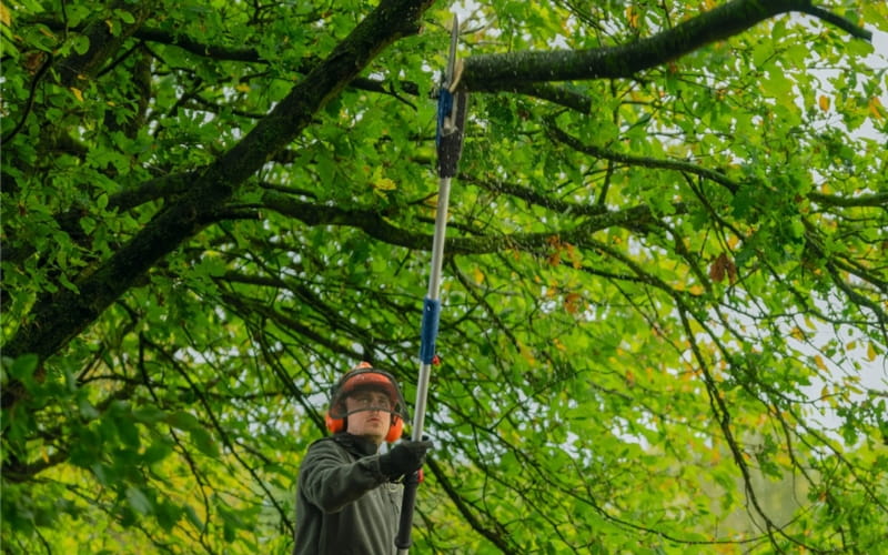 Máy tỉa cành trên cao Bosch GKE 18V-25T BT phù hợp cả gia đình và thợ chuyên